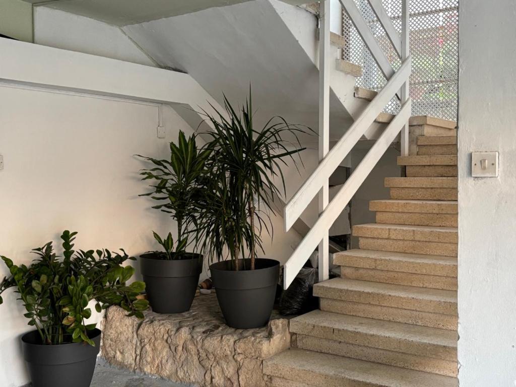 Apartamento Venus Lighthouse 2B, Sea-View, Paphos Center Exterior foto
